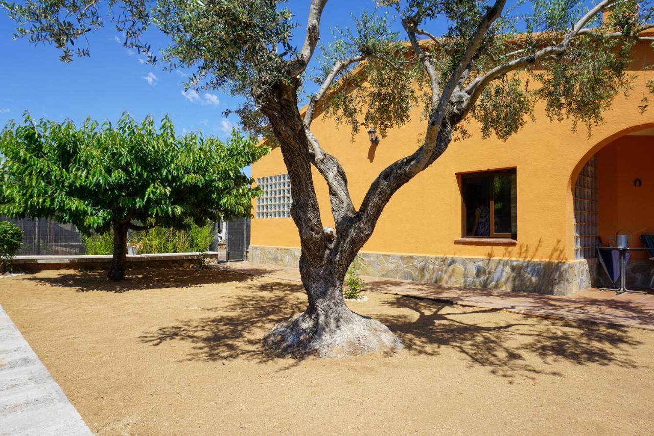 Villa Casa Martina Cardedeu Exterior foto